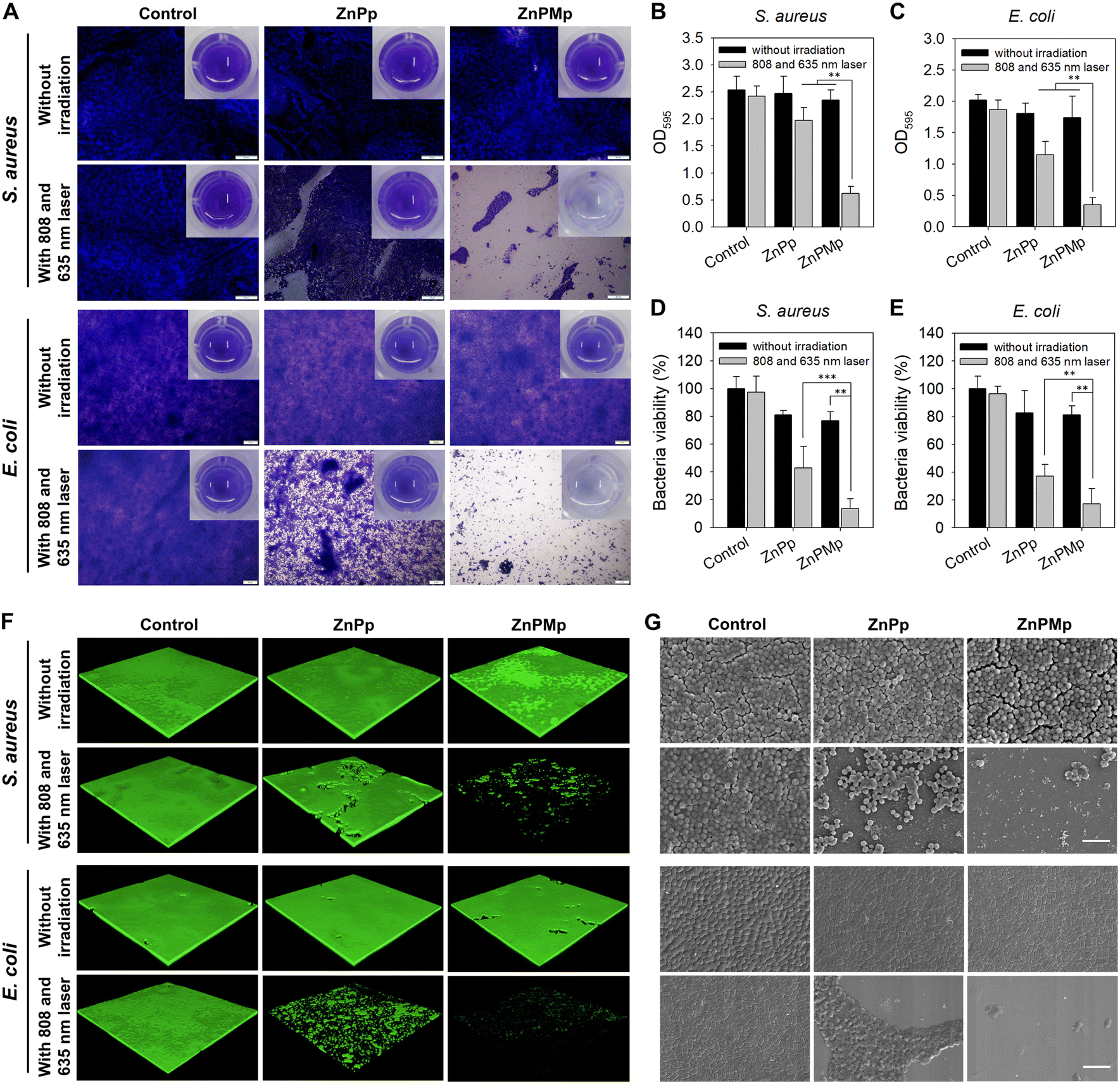 https://pubs.rsc.org/image/article/2022/TB/d2tb01200f/d2tb01200f-f5_hi-res.gif