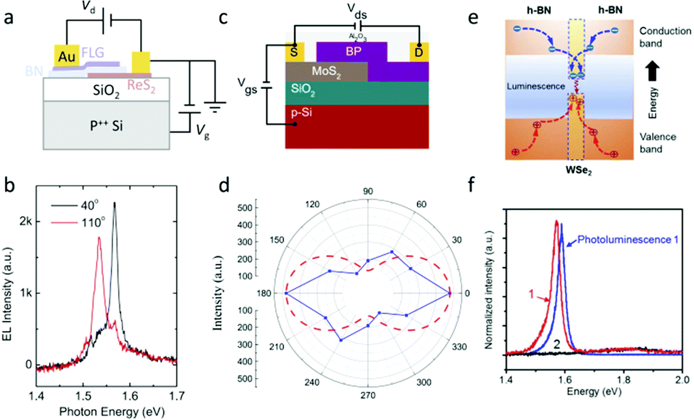 Asymmetric edge supercurrents in MoTe2 Josephson junctions