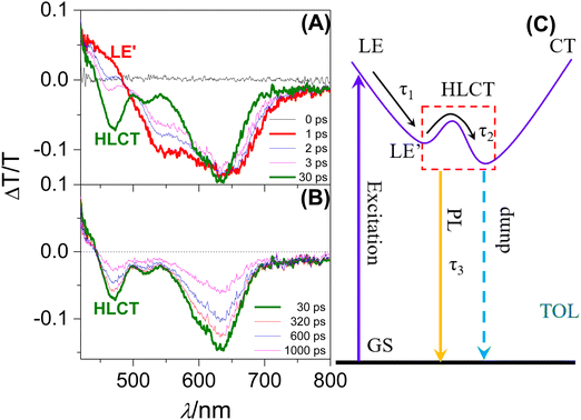 Conjugated branch modulated optical characteristics of