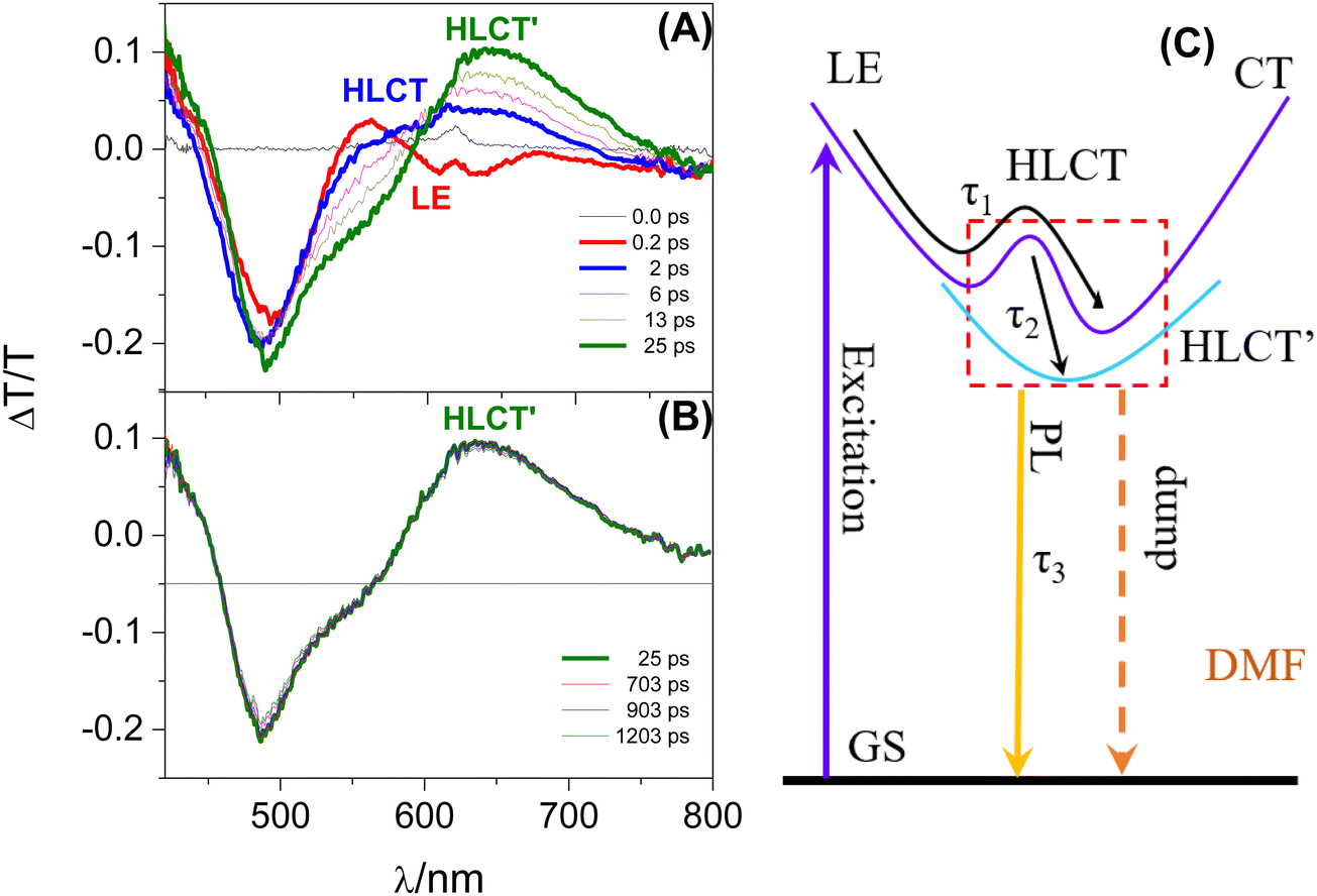 Conjugated branch modulated optical characteristics of