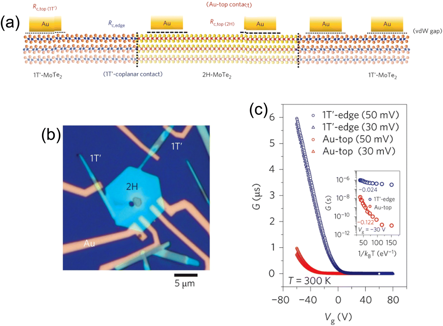 Latest advance on seamless metal-semiconductor contact with