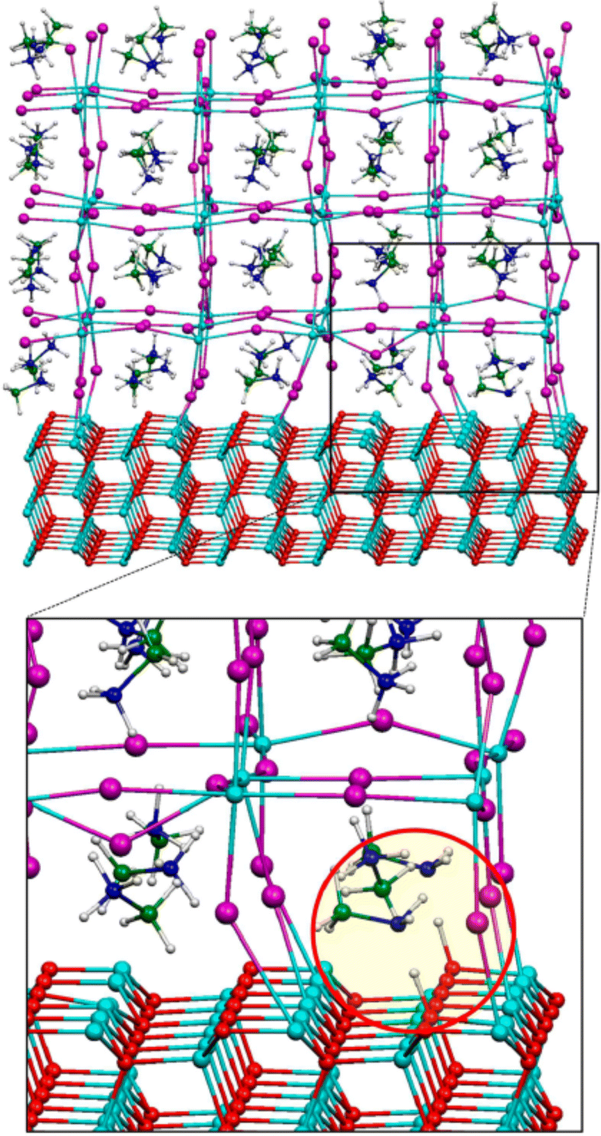 Understanding the role of inorganic carrier transport layer Understanding the role of inorganic carrier transport layer