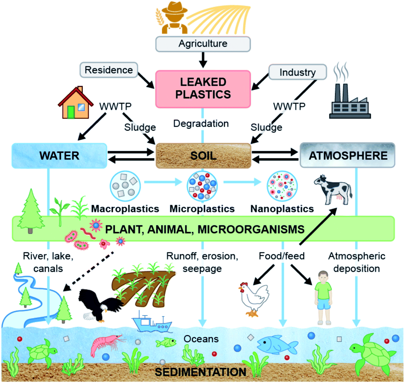 Unaccounted Microplastics in Wastewater Sludge: Where Do They Go