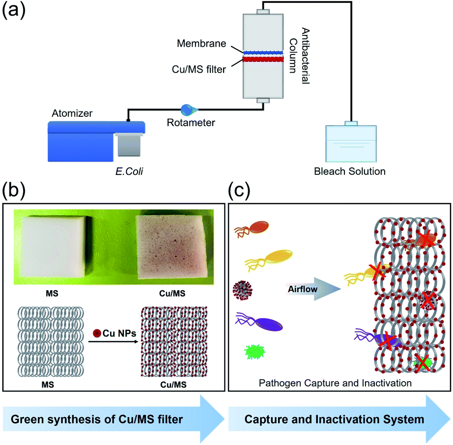 A capture and inactivation system against pathogens in indoor air using  copper nanoparticle decorated melamine sponge hybrid air filters -  Environmental Science: Advances (RSC Publishing) DOI:10.1039/D2VA00041E