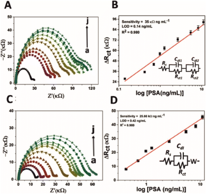 A Review Of Electrochemical Impedance Spectroscopy For Bioanalytical   D2ay00970f F6 