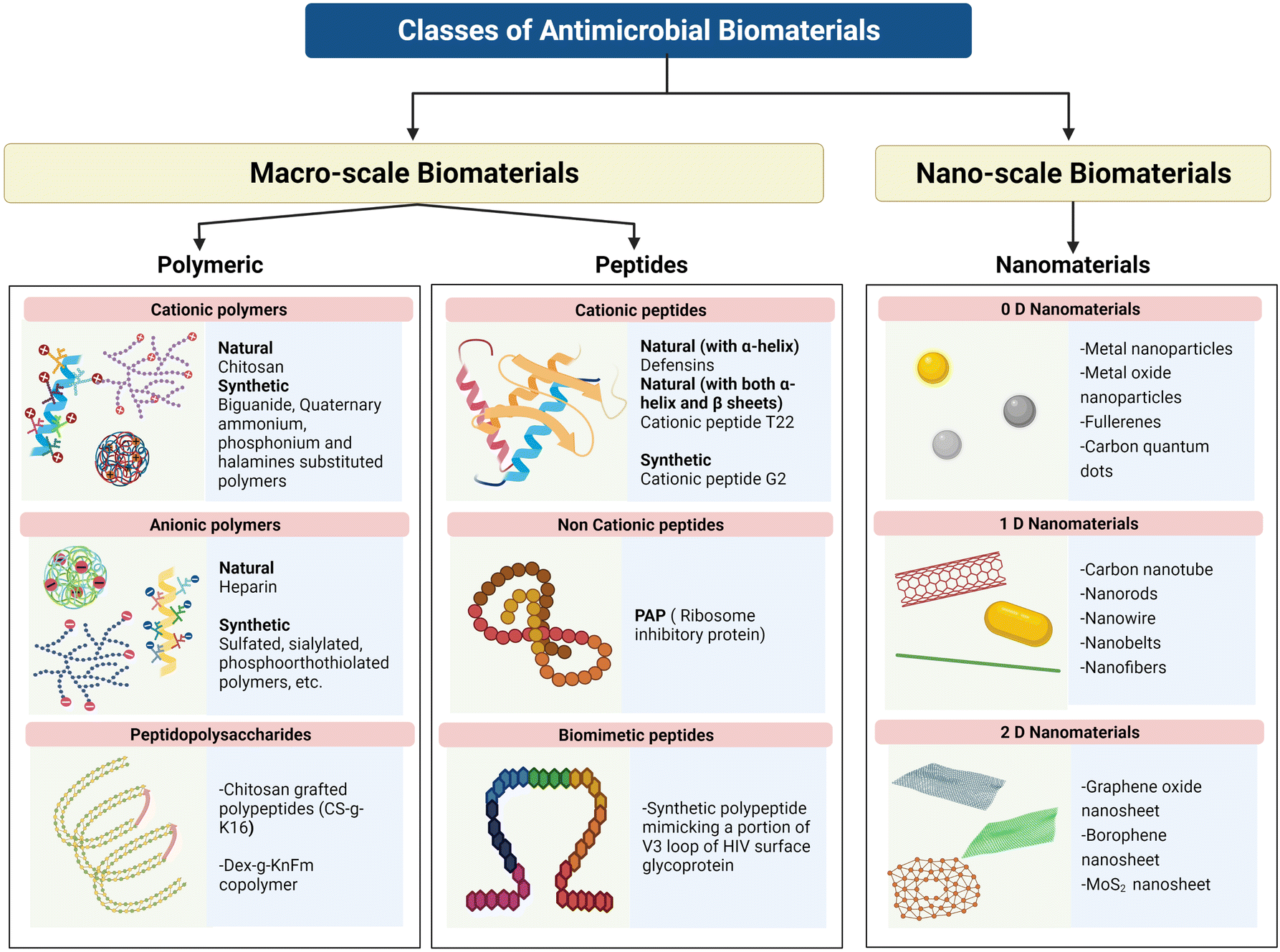 Antimicrobial Mechanisms Of Biomaterials: From Macro To Nano ...