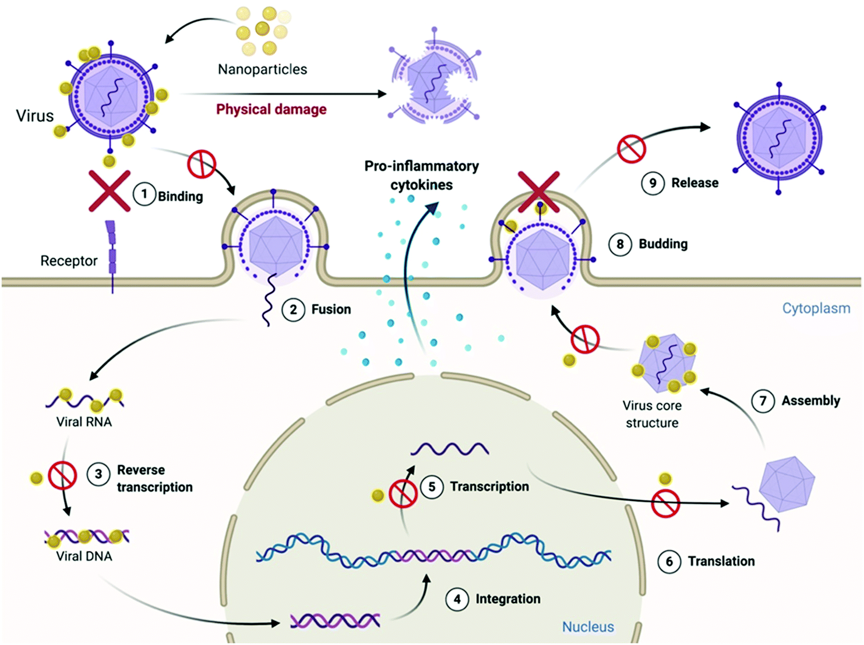 Antimicrobial mechanisms of biomaterials: from macro to nano ...