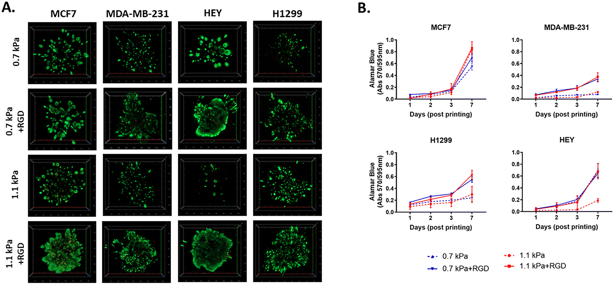 A High-throughput 3D Bioprinted Cancer Cell Migration And Invasion ...