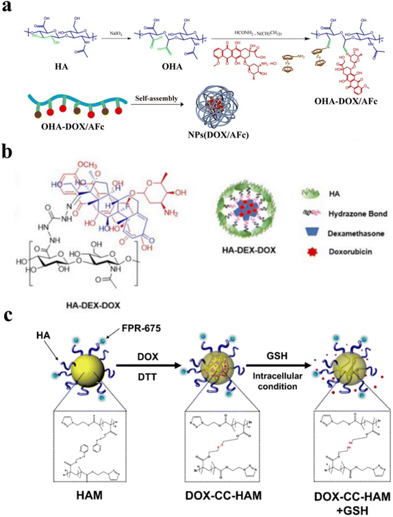 Dynamic covalent crosslinked hyaluronic acid hydrogels and