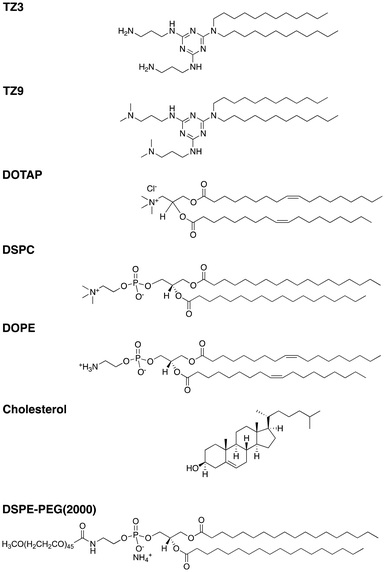 In vivo assessment of triazine lipid nanoparticles as transfection ...