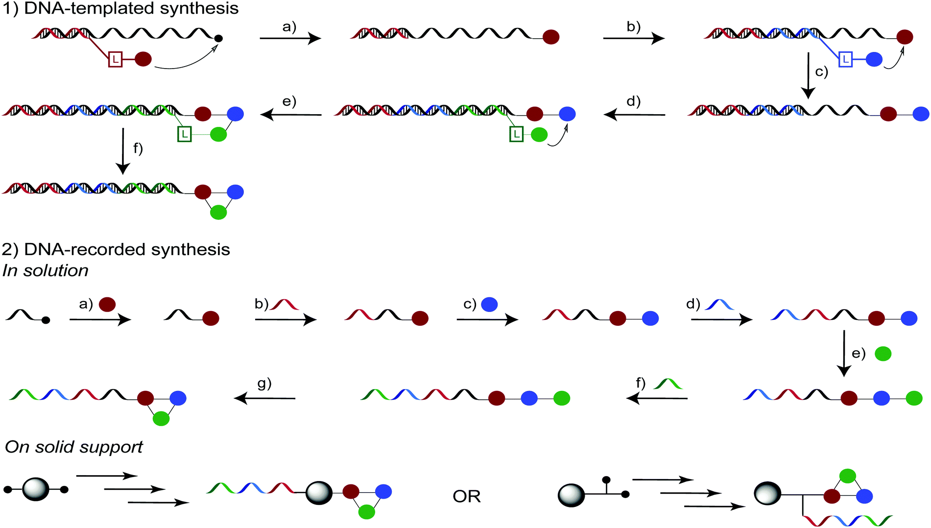 Macrocyclic DNA-encoded chemical libraries: a historical perspective ...