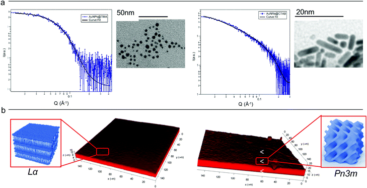 Interaction of nanoparticles with lipid films: the role of symmetry and ...