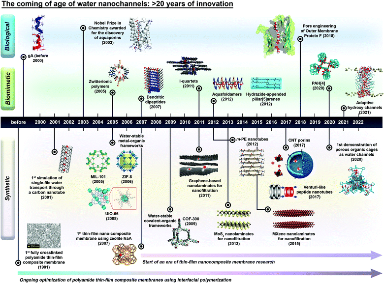 The coming of age of water channels for separation membranes: from ...