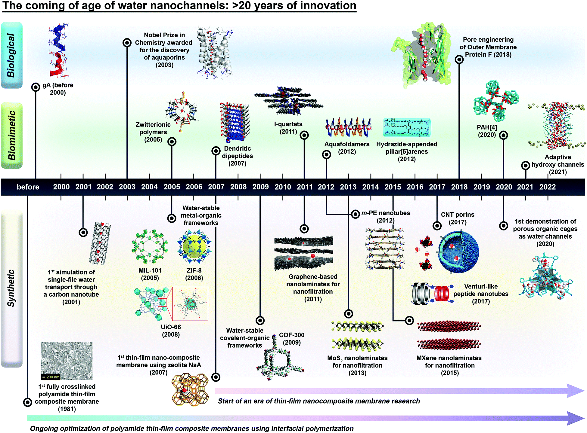 The coming of age of water channels for separation membranes: from ...