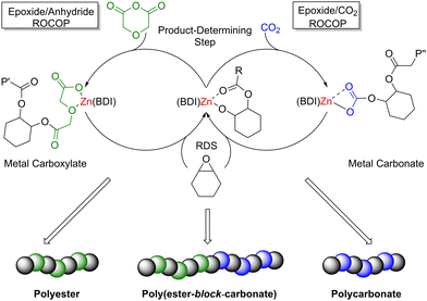 Main Group Metal Polymerisation Catalysts - Chemical Society Reviews ...