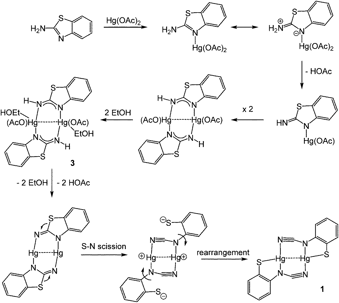 Synthesis, structure and reactivity with phosphines of Hg( ii ) ortho ...