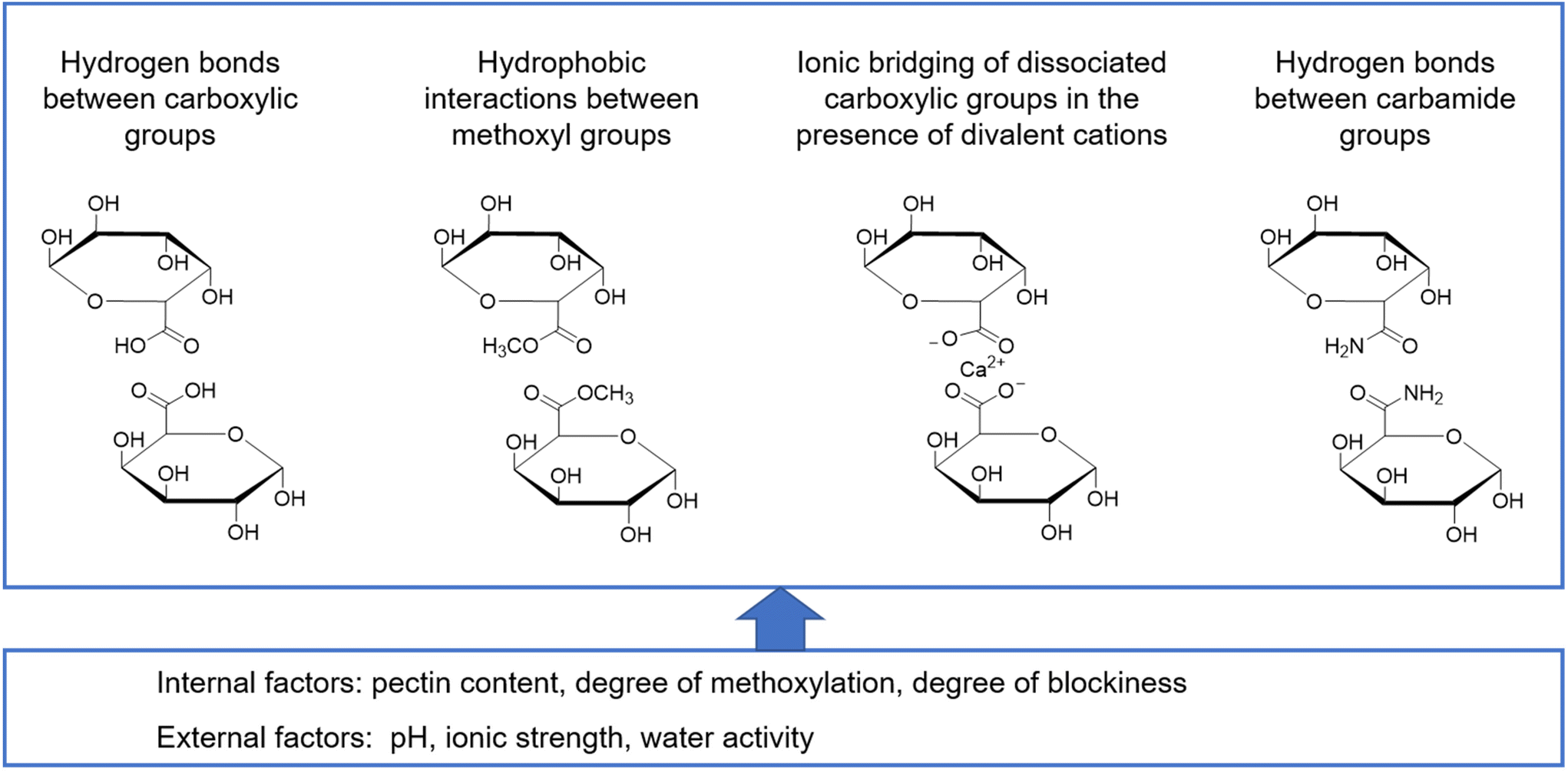 Structure, controlled release mechanisms and health benefits of pectins
