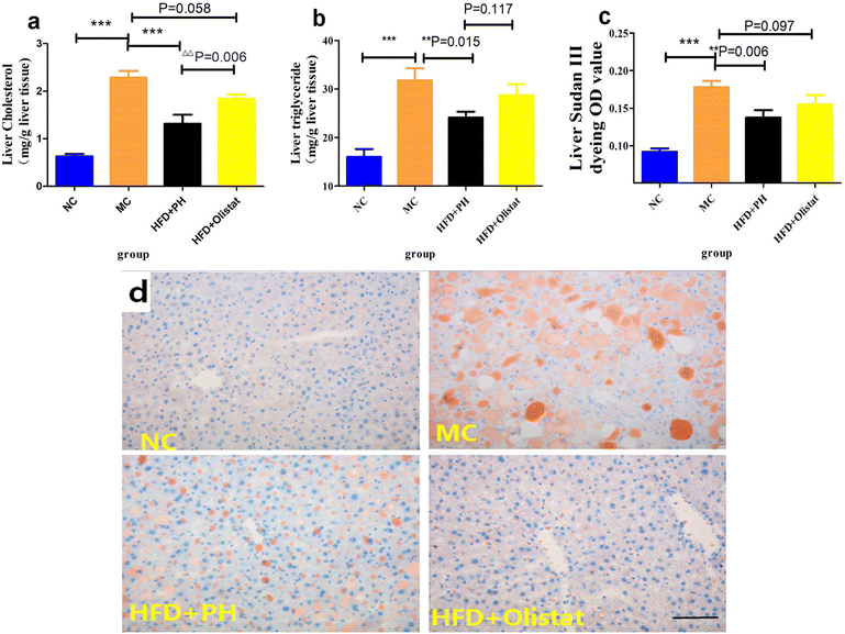 The different effects of psyllium husk and orlistat on weight control, the amelioration of
