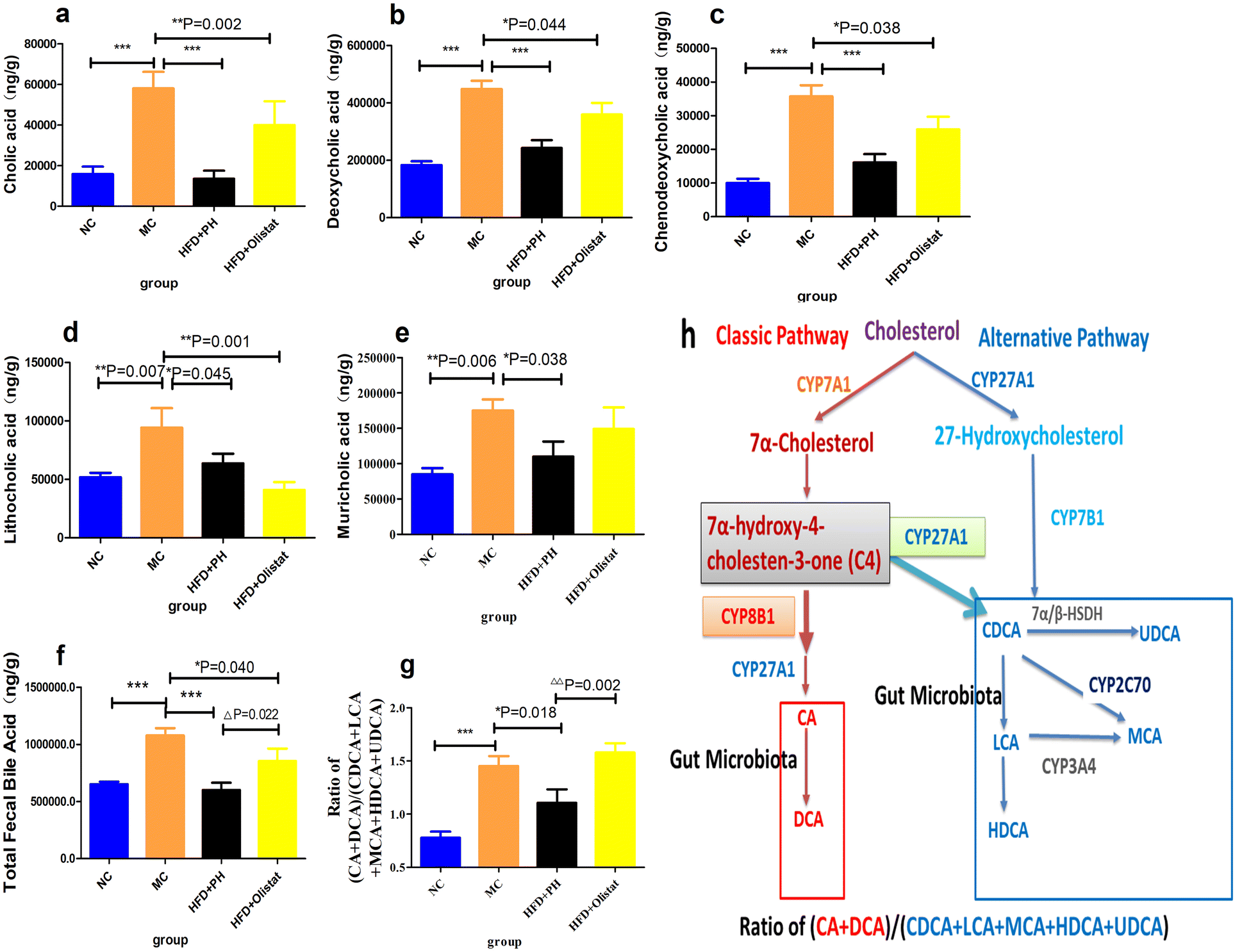 The different effects of psyllium husk and orlistat on weight control
