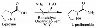 Racemization-free and scalable amidation of l -proline in organic media ...