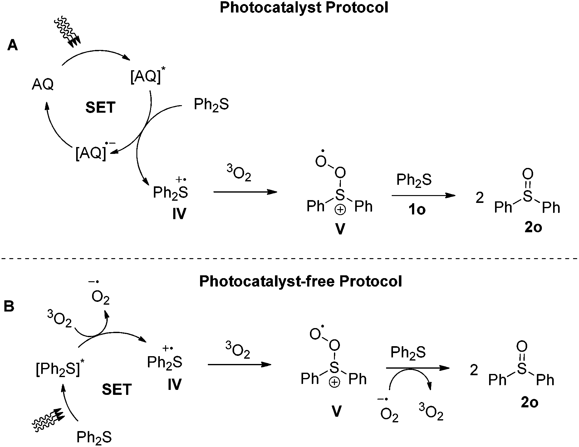 Photochemical aerobic oxidation of sulfides to sulfoxides: the crucial ...