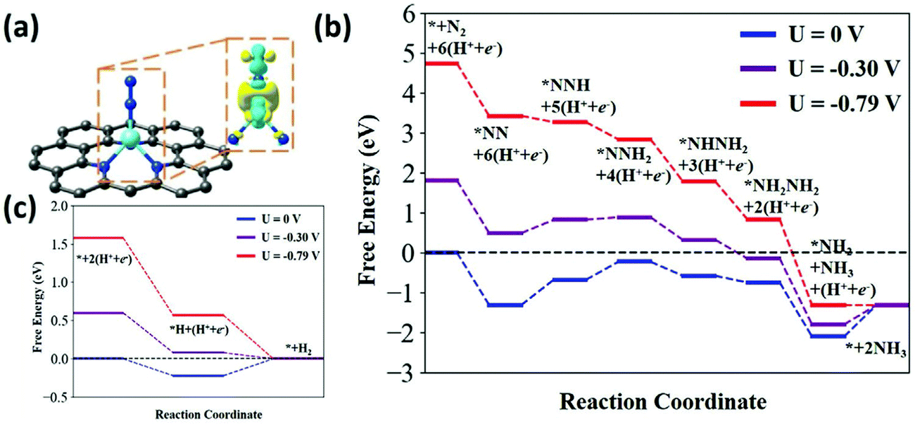 Recent Progress In The Development Of Electrocatalysts For The 