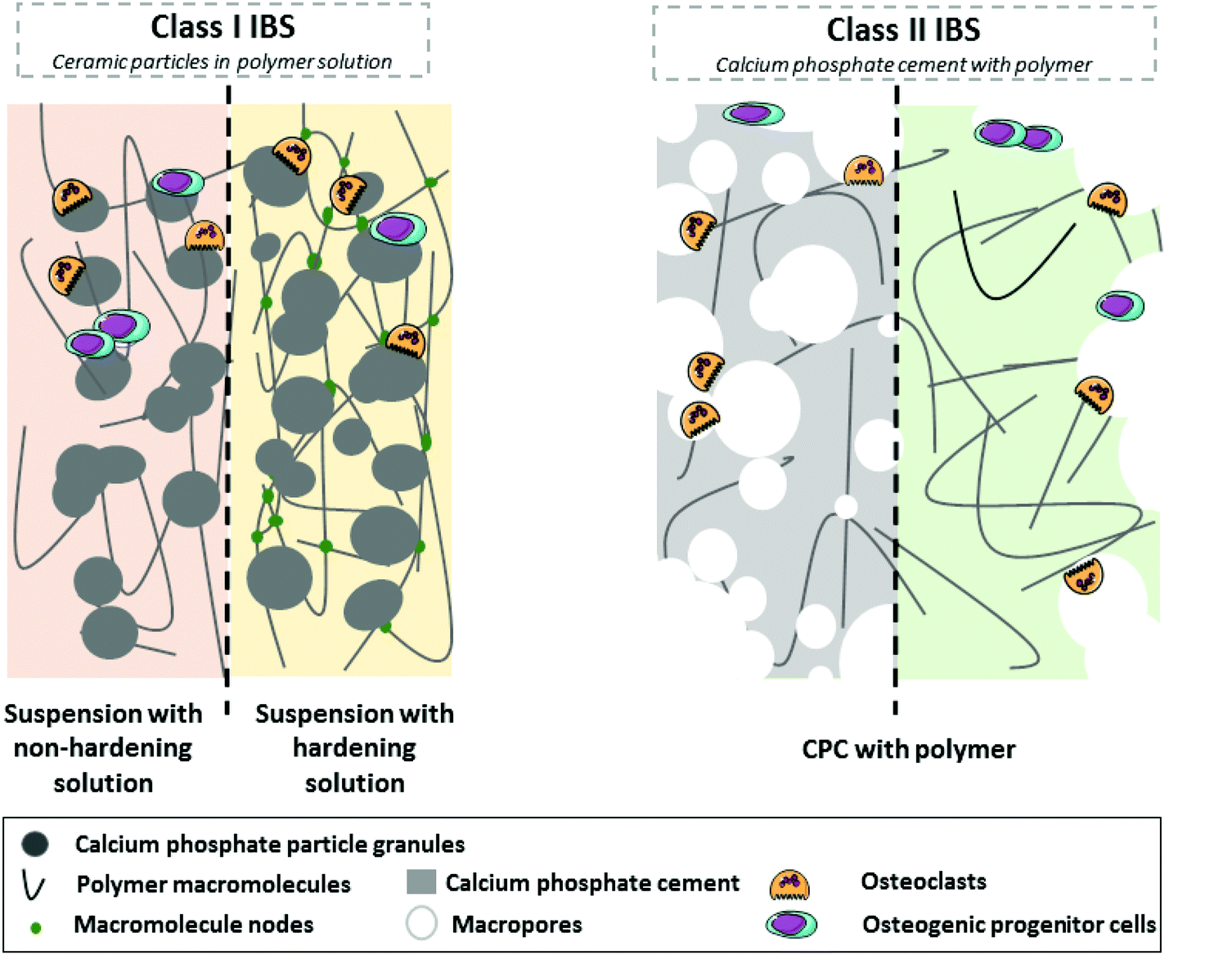 Injectable macromoleculebased calcium phosphate bone substitutes