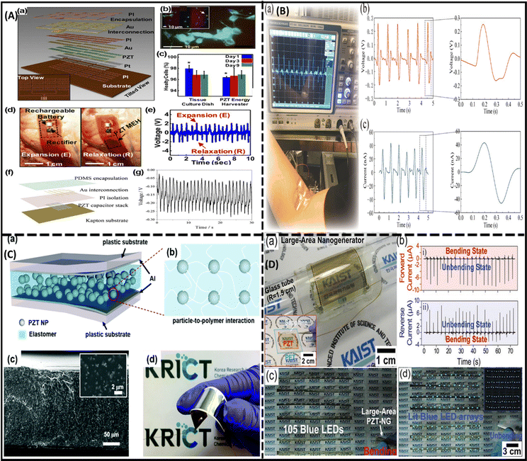 A critical review: the impact of electrical poling on the longitudinal ...