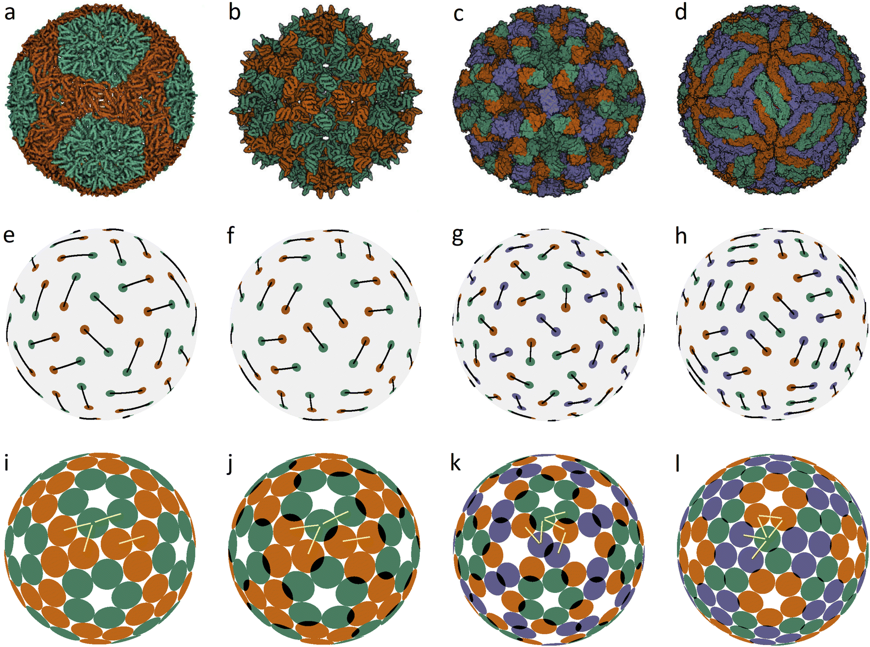 Packing And Trimer-to-dimer Protein Reconstruction In Icosahedral Viral ...