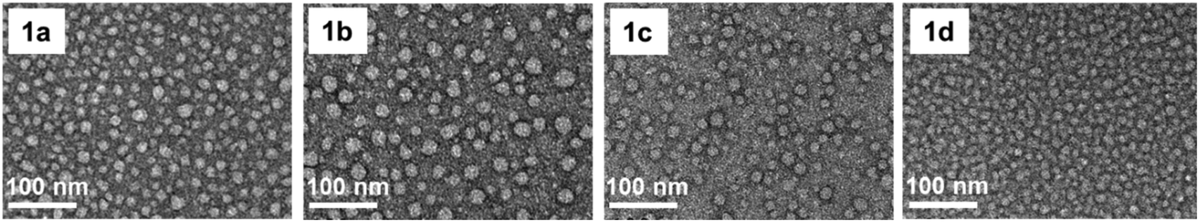 Dynamic Self Assembling Supramolecular Dendrimer Nanosystems As Potent Antibacterial Candidates