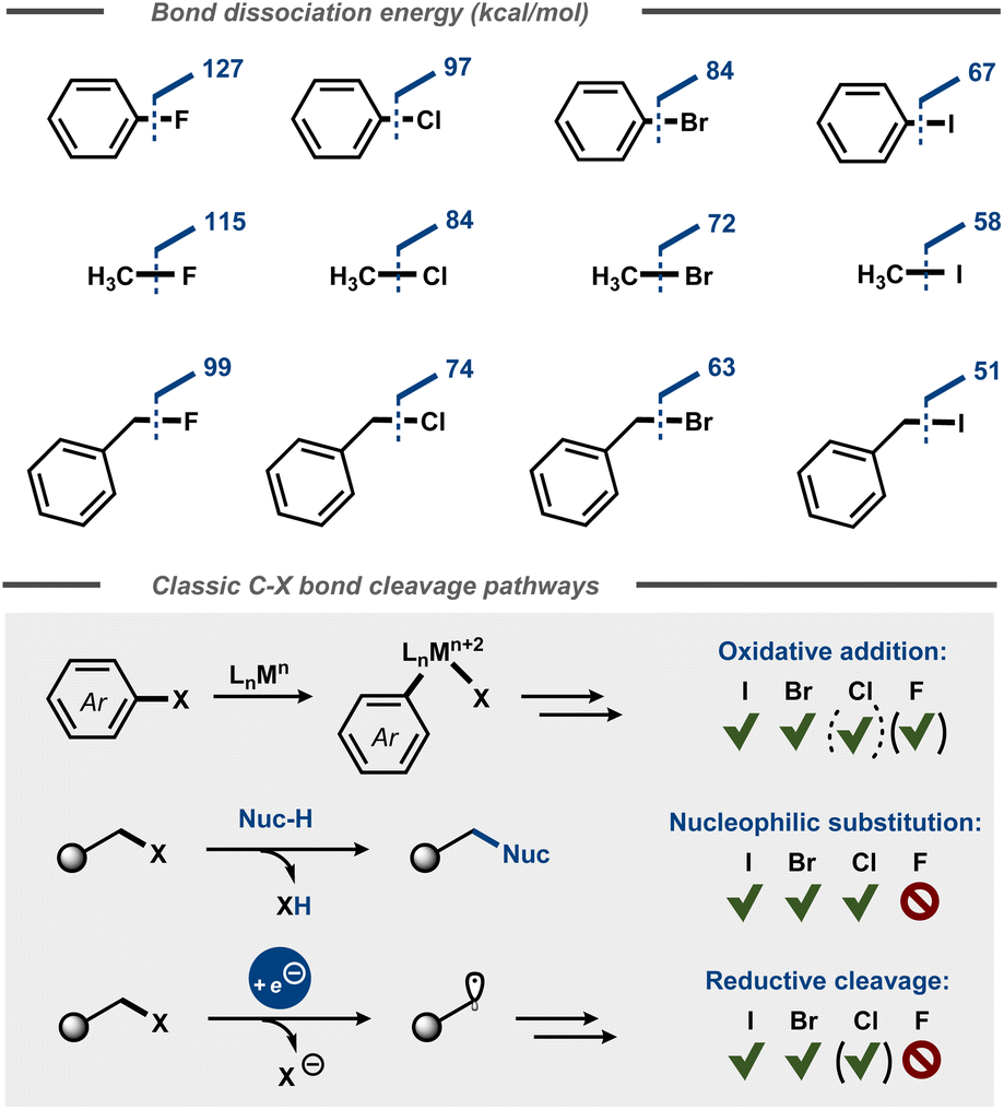 Electrosynthetic CF Bond Cleavage Organic Biomolecular Chemistry RSC Publishing DOI