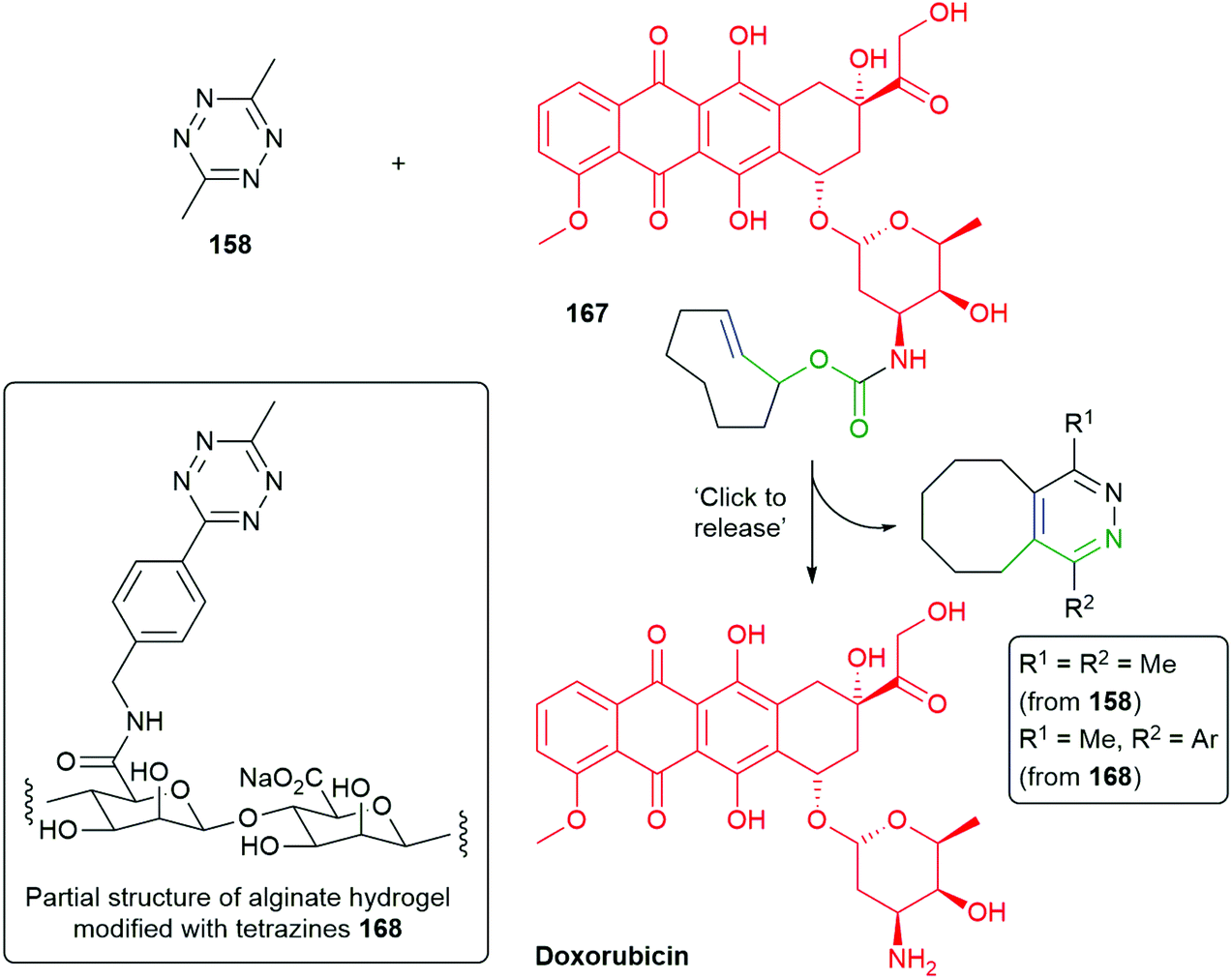 Recent advances in self-immolative linkers and their applications in ...