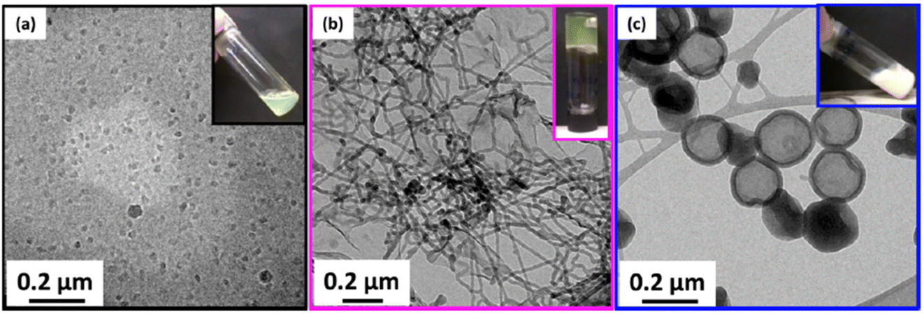 Thermoresponsive polymers in non-aqueous solutions - Polymer Chemistry ...