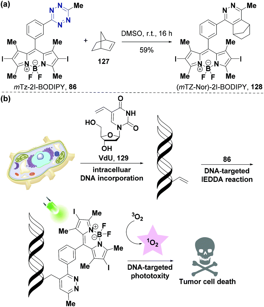 Derivatization Based On Tetrazine Scaffolds: Synthesis Of Tetrazine ...