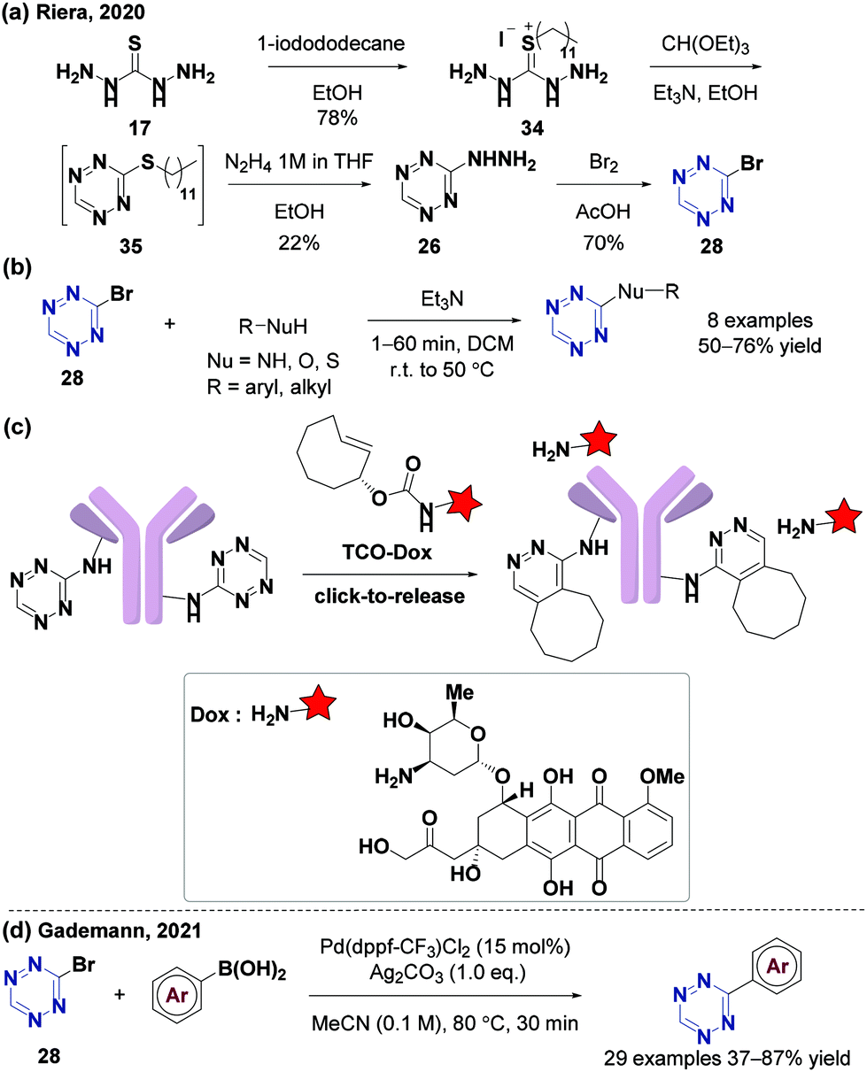 Derivatization Based On Tetrazine Scaffolds: Synthesis Of Tetrazine ...