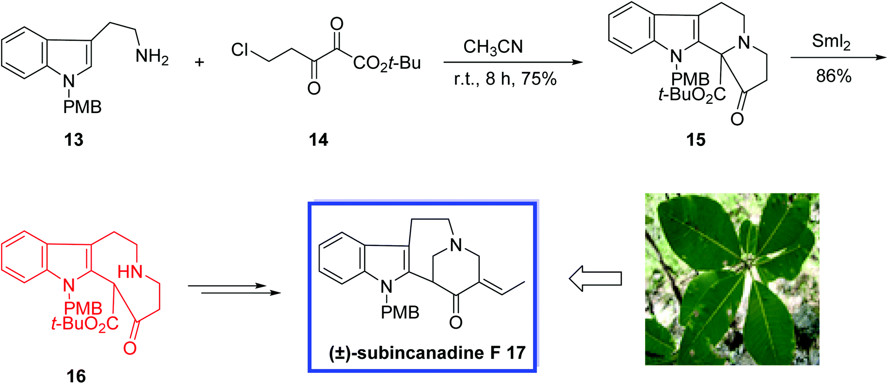 Samarium( ii ) iodide-mediated reactions applied to natural product ...