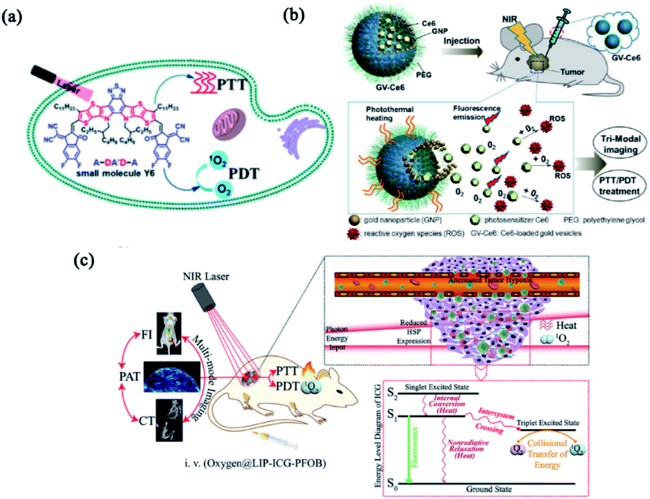 Nanotechnology Based Combinatorial Phototherapy For Enhanced Cancer Treatment Rsc Advances 4526