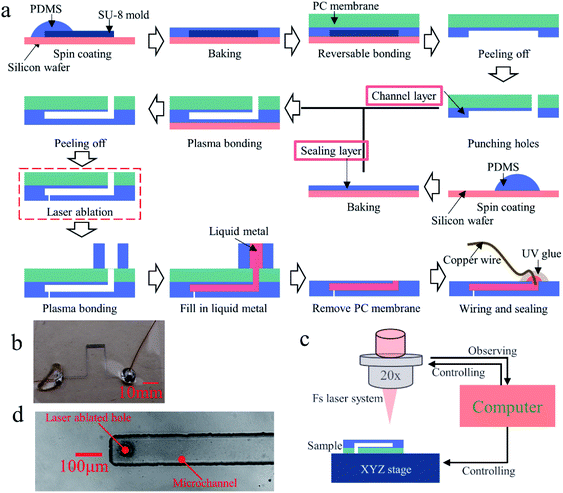 Fabrication of a thin PDMS film with complex liquid metal electrodes ...