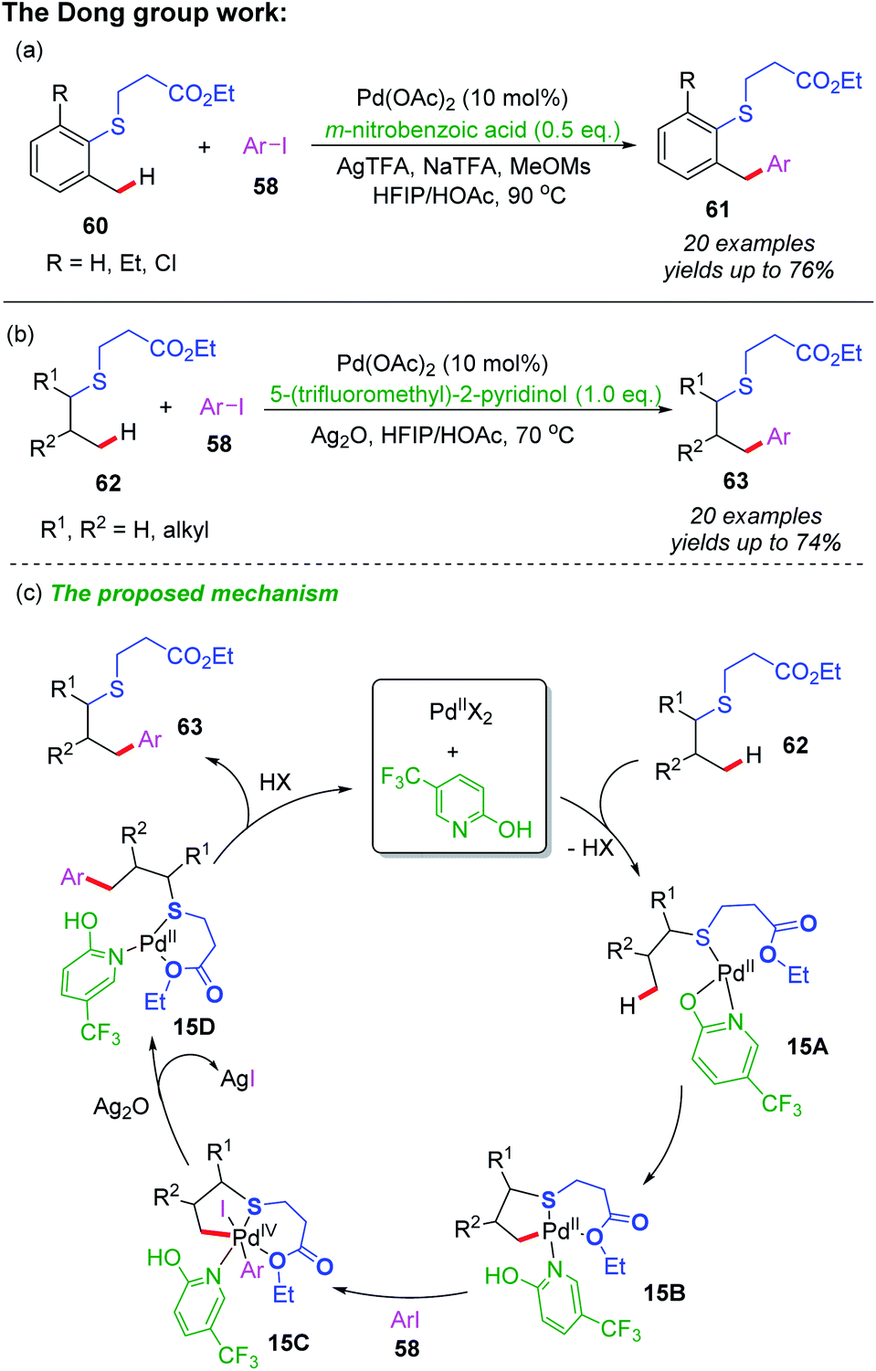 Transition Metal Catalyzed Remote Ch Functionalization Of Thioethers