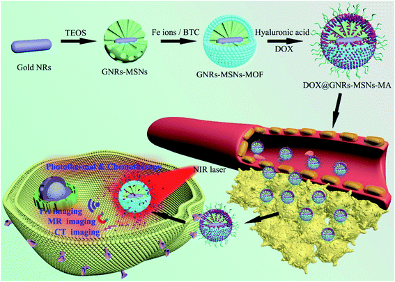 Recent Progress In The Applications Of Silica-based Nanoparticles - RSC ...