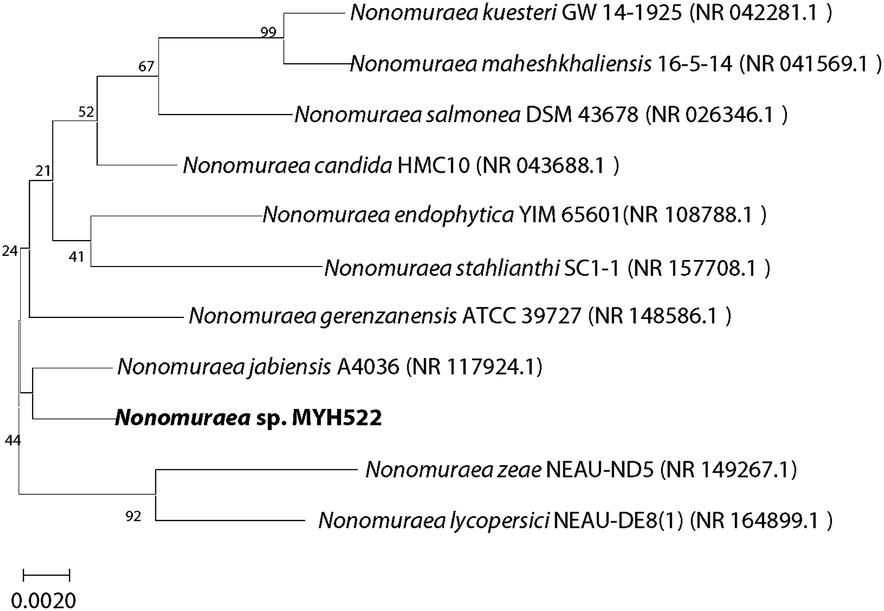 Fluvirucins B 7 –B 10 , New Antifungal Macrolactams From A Marine ...