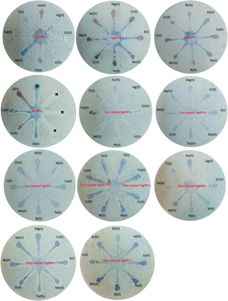 Colorimetric And Naked Eye Detection Of Arsenic Iii Using A Paper