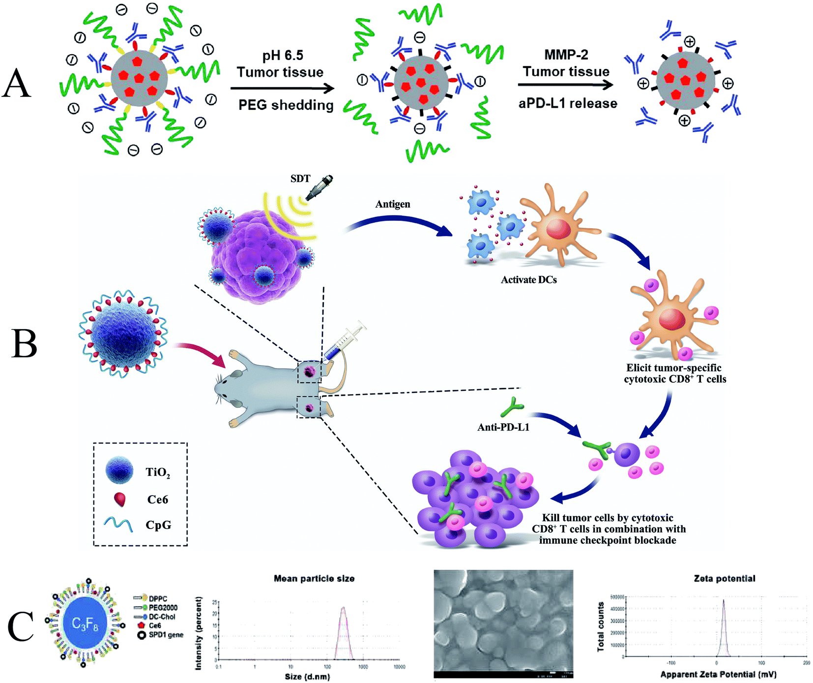 Application Of Nanosonosensitizer Materials In Cancer Sono-dynamic ...