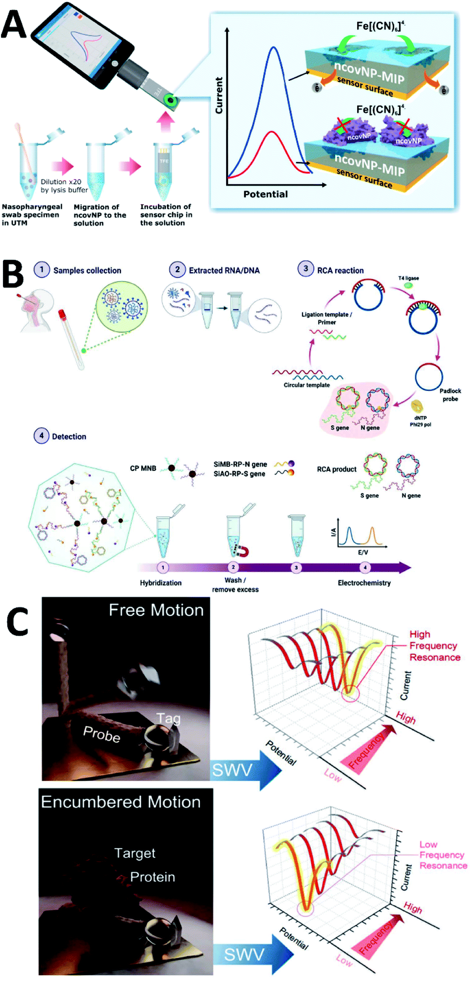 The Role Of Electrochemical Biosensors In SARS-CoV-2 Detection: A ...