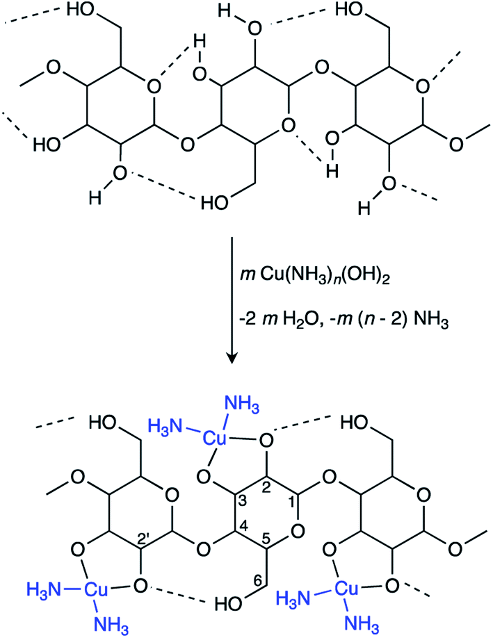 In situ polymerization and electrical conductivity of polypyrrole