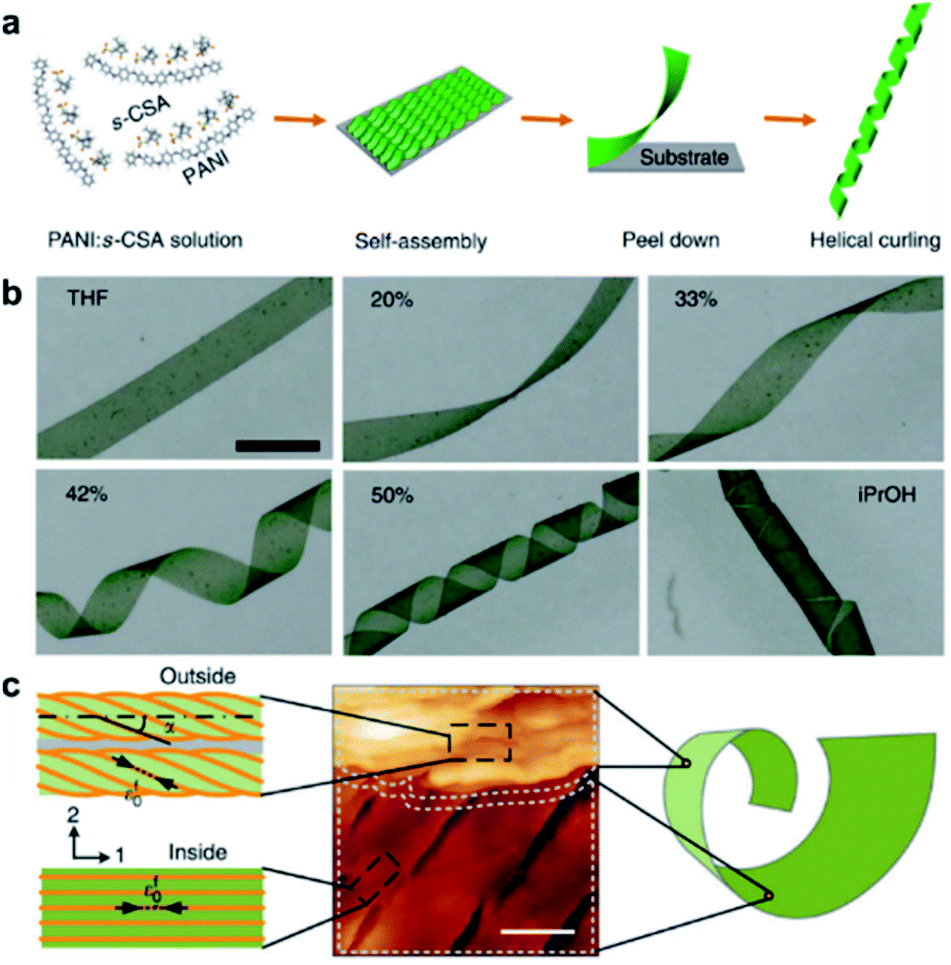 Hierarchical Self-assembly Into Chiral Nanostructures - Chemical ...