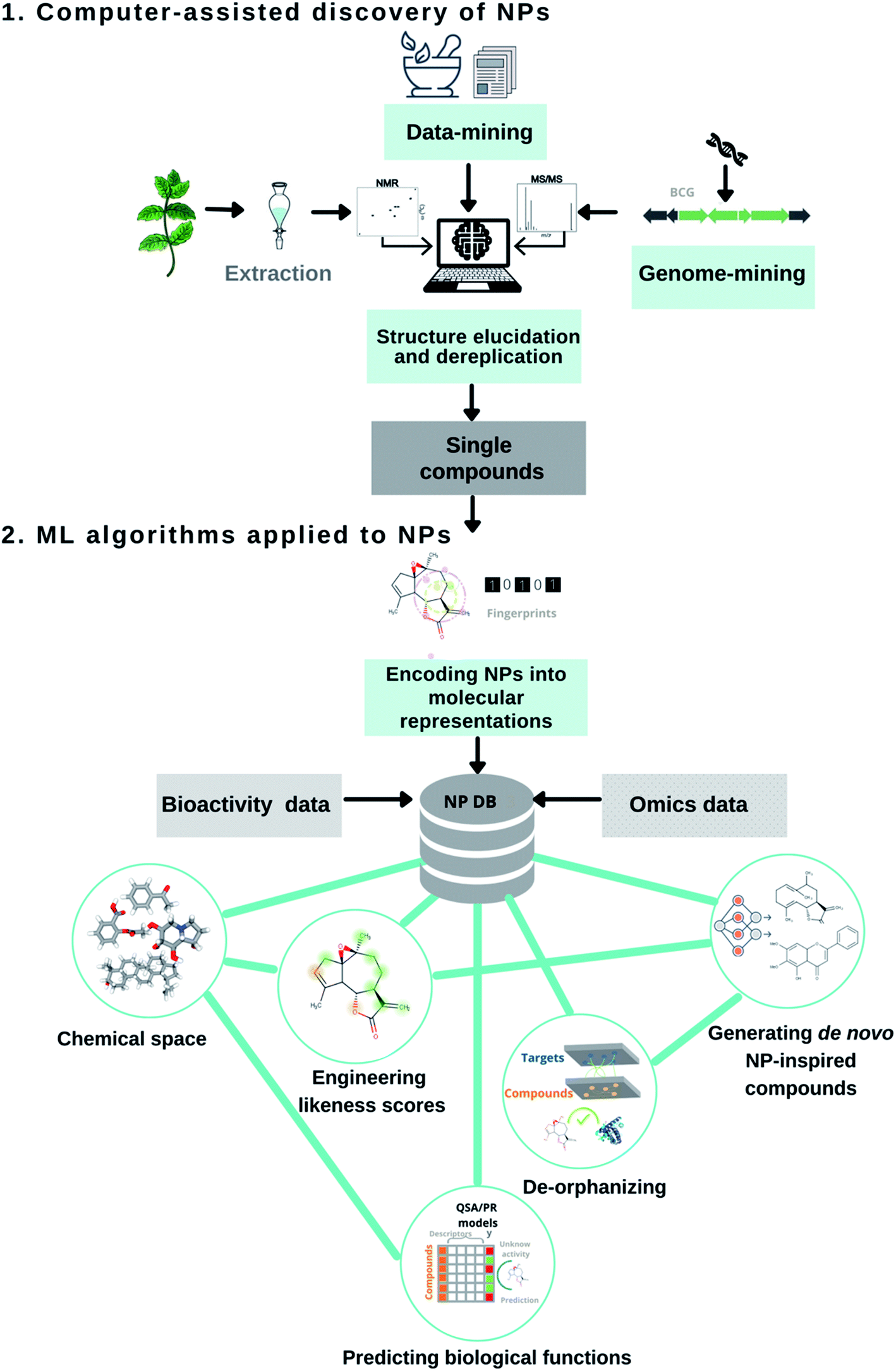 Natural product drug discovery in the artificial intelligence era