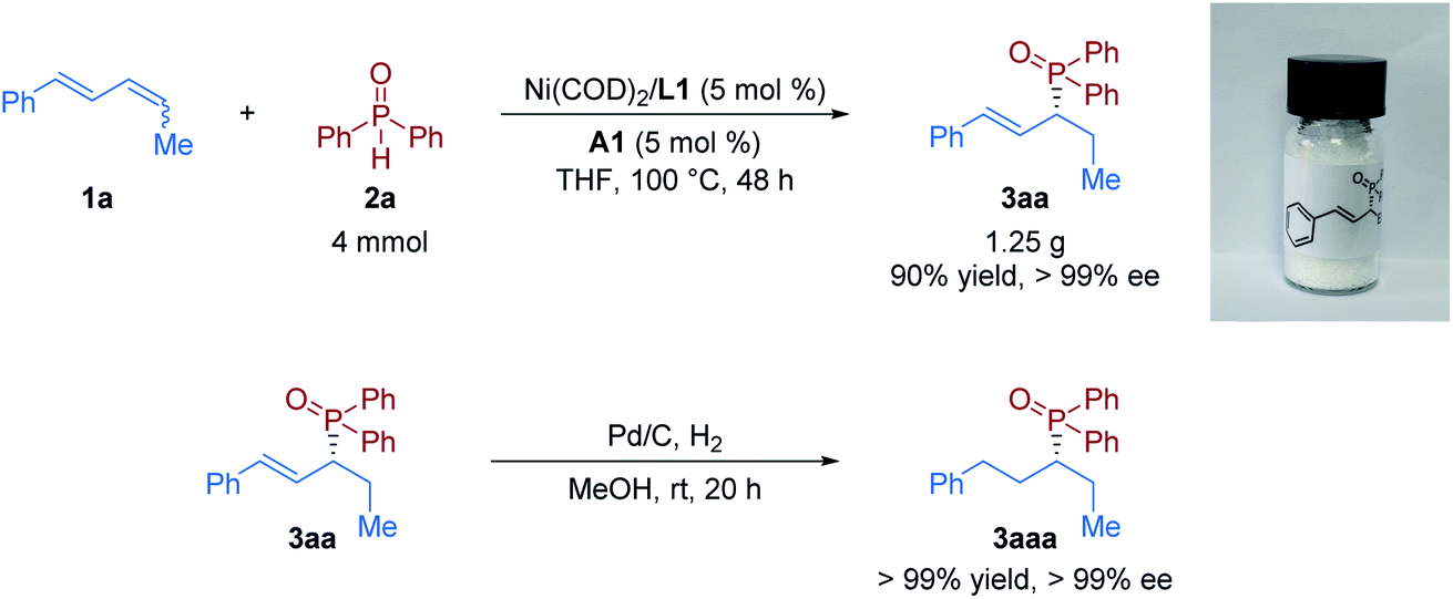 Nickel Br Nsted Acid Dual Catalyzed Regio And Enantioselective