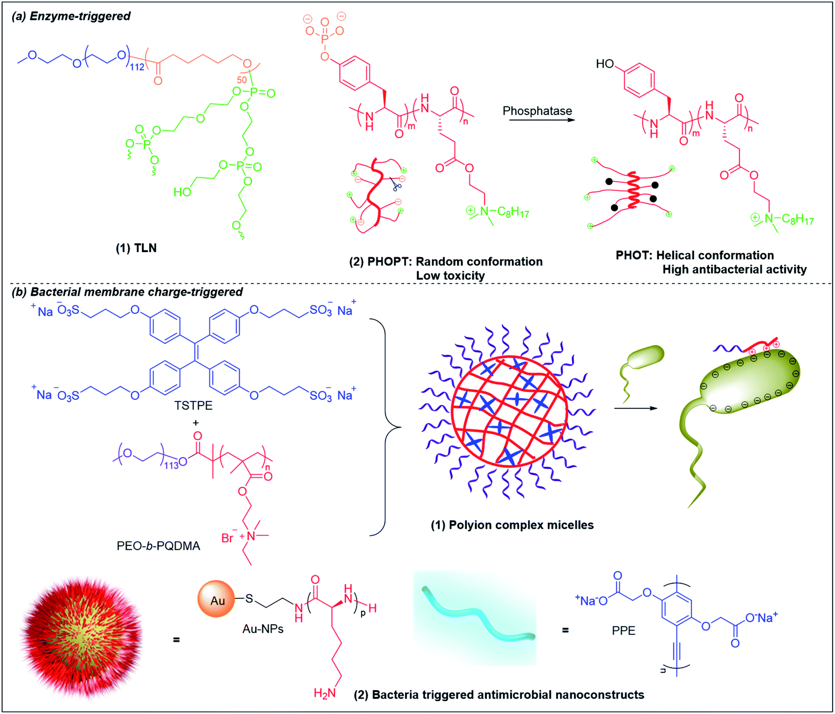 Polymers As Advanced Antibacterial And Antibiofilm Agents For Direct ...