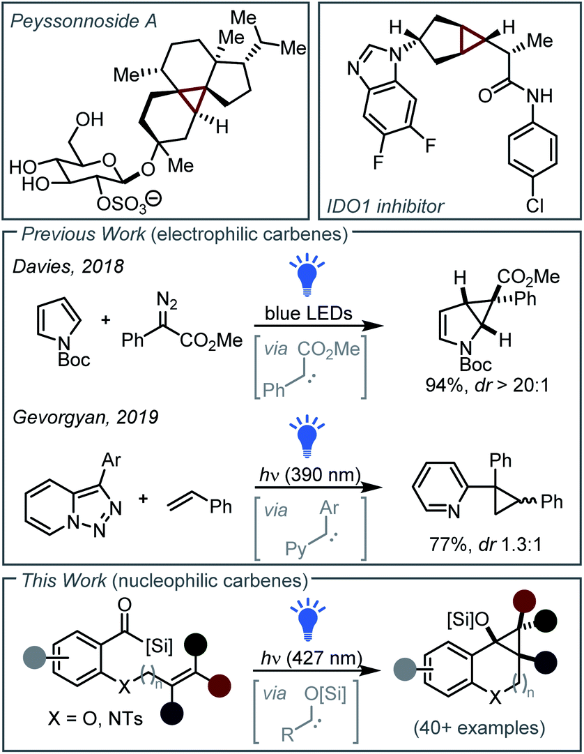 Intramolecular photochemical [2 + 1]-cycloadditions of nucleophilic ...